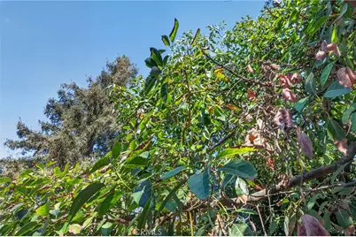 36 E Longden, Arcadia, CA 91006 - Photo 73