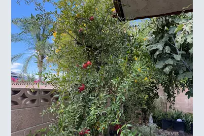 672 Central Avenue, Hemet, CA 92543 - Photo 9
