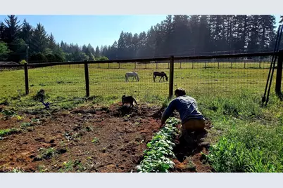 4415 Woods Lane, McKinleyville, CA 95519 - Photo 39