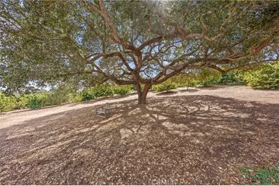 349 Puerta De Lomas, Fallbrook, CA 92028 - Photo 45