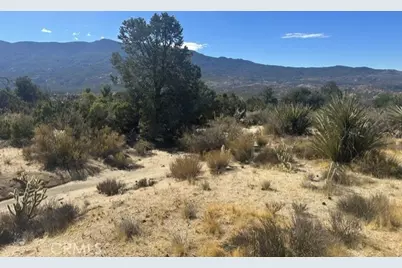 319 Alpine Dr, Mountain Center, CA 92561 - Photo 5