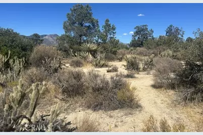 319 Alpine Dr, Mountain Center, CA 92561 - Photo 3
