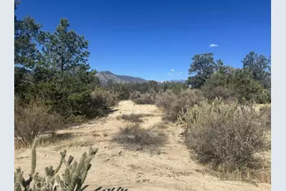 319 Alpine Dr, Mountain Center, CA 92561 - Photo 13