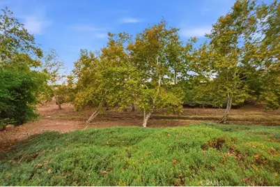 40281 Corte Peralta, Murrieta, CA 92562 - Photo 45