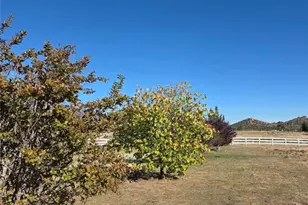 43267 Terwilliger Rd, Anza, CA 92539 - Photo 49