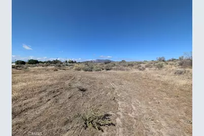 0 Old Forest Road, Anza, CA 92539 - Photo 5
