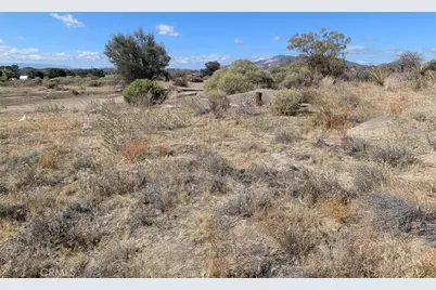 0 Old Forest Road, Anza, CA 92539 - Photo 7