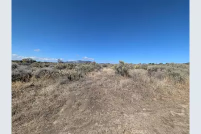 0 Lanik Lane, Anza, CA 92539 - Photo 11