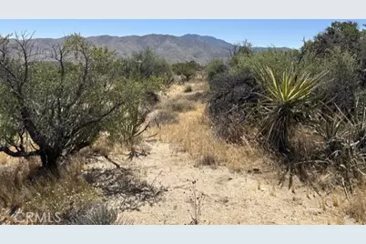 7 Carrizo Road, Mountain Center, CA 92561 - Photo 3