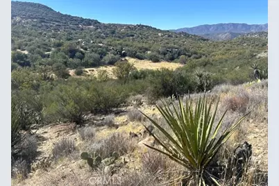 62958 Table Mountain, Anza, CA 92539 - Photo 21