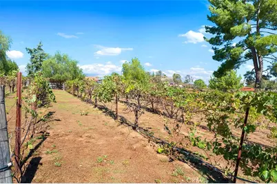 39555 Avenida Bonita, Murrieta, CA 92562 - Photo 69