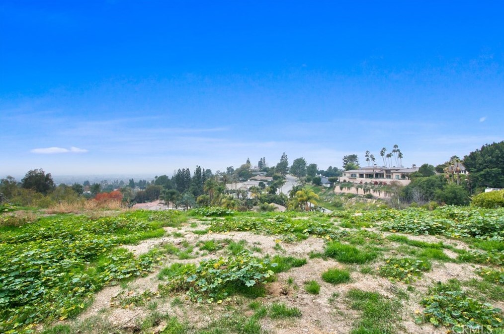 15980 Carmenia Dr, Whittier CA  90603-1212 exterior