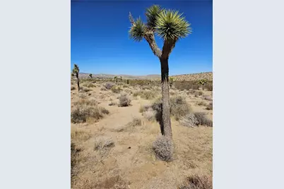 0 Del Monte, Yucca Valley, CA 92284 - Photo 5