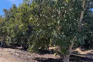 1 Monte Rancho, Temecula, CA 92590 - Photo 3