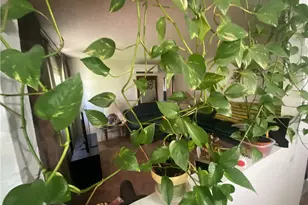 550 Whiteford Ave, La Puente, CA 91744 - Photo 27