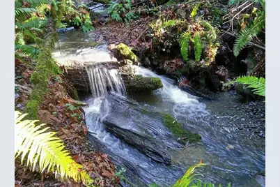 203 Pine Lane, Fortuna, CA 95528 - Photo 3