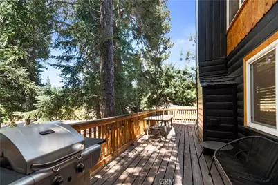 43407 Sand Canyon Rd, Big Bear Lake, CA 92315 - Photo 33