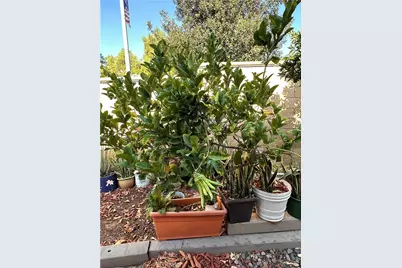 21529 Magnolia, Walnut, CA 91789 - Photo 29