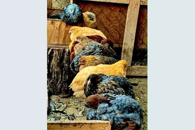 18090 Iris Avenue, Riverside, CA 92508 - Photo 45