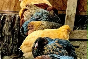 18090 Iris Ave, Riverside, CA 92508 - Photo 45