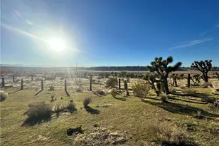 19574 Happy Valley, Apple Valley, CA 92308 - Photo 5