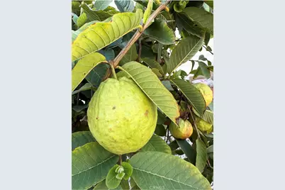 1441 Paso Real Avenue #300, Rowland Heights, CA 91748 - Photo 27