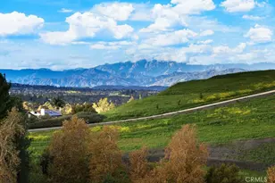 16224 Cordovan Ct, Chino Hills, CA 91709 - Photo 47