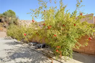 66802 Verbena, Desert Hot Springs, CA 92240 - Photo 49