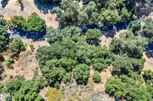 25 Woodlyn Ln, Bradbury, CA 91008 - Photo 15