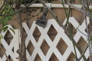 13711 Amberview, Eastvale, CA 92880 - Photo 69