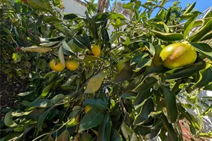 1945 Cumberland, West Covina, CA 91792 - Photo 39