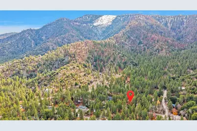 985 Pheasant, Wrightwood, CA 92397 - Photo 49