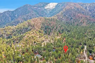 985 Pheasant, Wrightwood, CA 92397 - Photo 49