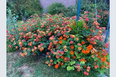 14037 Hollywood Ave, Eastvale, CA 92880 - Photo 53