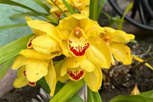 8320 Orange Ave, Pico Rivera, CA 90660 - Photo 31