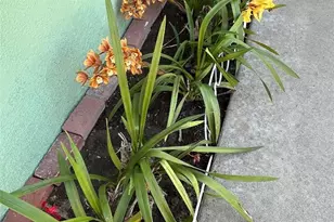 8320 Orange Ave, Pico Rivera, CA 90660 - Photo 33