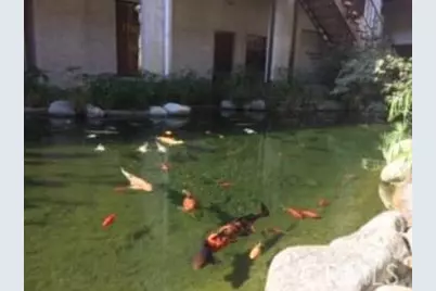 2440 S Hacienda Boulevard #103, Hacienda Heights, CA 91745 - Photo 19