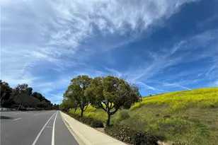 4406 Mission Hills Dr, Chino Hills, CA 91709 - Photo 51