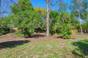 1435 Subtropic Dr, La Habra Heights, CA 90631 - Photo 65