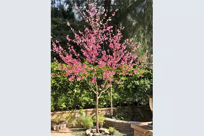 1834 Berryhill Drive, Chino Hills, CA 91709 - Photo 59