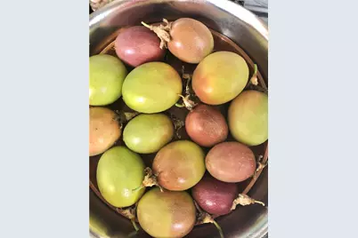 1834 Berryhill Drive, Chino Hills, CA 91709 - Photo 61