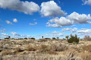 3033 Arcadia, Phelan, CA 92371 - Photo 1