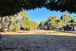 239 S Barrington Ave, Los Angeles, CA 90049 - Photo 9