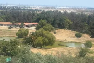 6790 Abeja, Chino Hills, CA 91709 - Photo 75