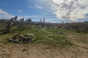 59188 Forrest Dr, Yucca Valley, CA 92284 - Photo 9