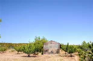 11020 Lantry, Oak Hills, CA 92344 - Photo 49