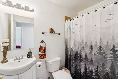 879 Spruce Lane, Sugarloaf, CA 92386 - Photo 19