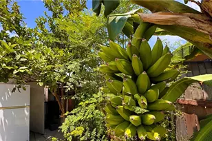 320 E 81st, Los Angeles, CA 90003 - Photo 33