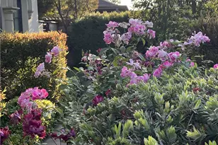 200 W Pamela Rd, Arcadia, CA 91007 - Photo 59