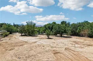 12233 E Ave V 12, Pearblossom, CA 93553 - Photo 47